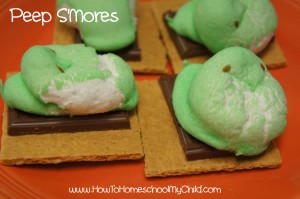 Peeps S'Mores