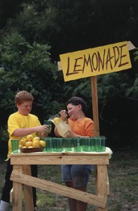 Lemonade Stand - Business