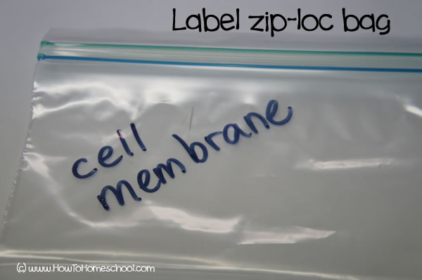 How to Make a 3D Cell Model with Jello - Label