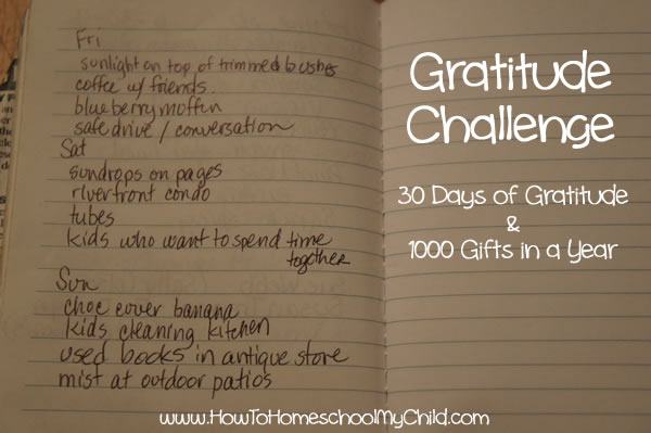 one thousand gifts - 30 days of gratitude challenge