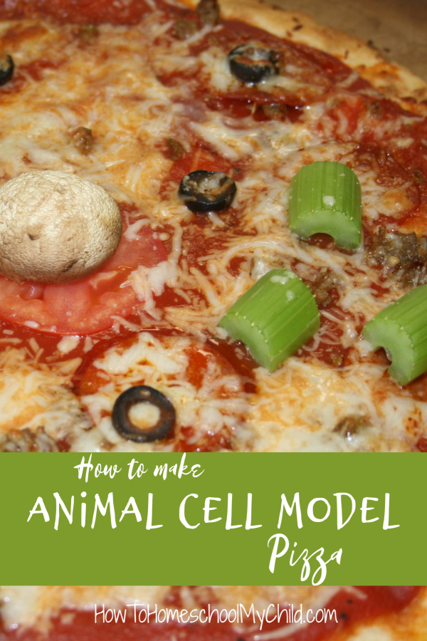 Animal Cell Models with Pizza - How To Homeschool My Child