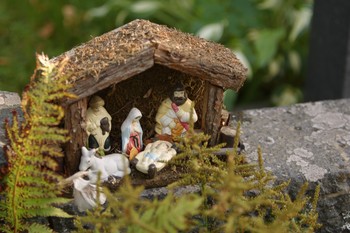 on the first day of Christmas - nativity