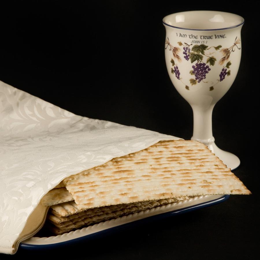 Seder Plate & Cup for celebrating Passover - includes list of Books to Read & answer What is Passover by HowToHomeschoolMyChild.com