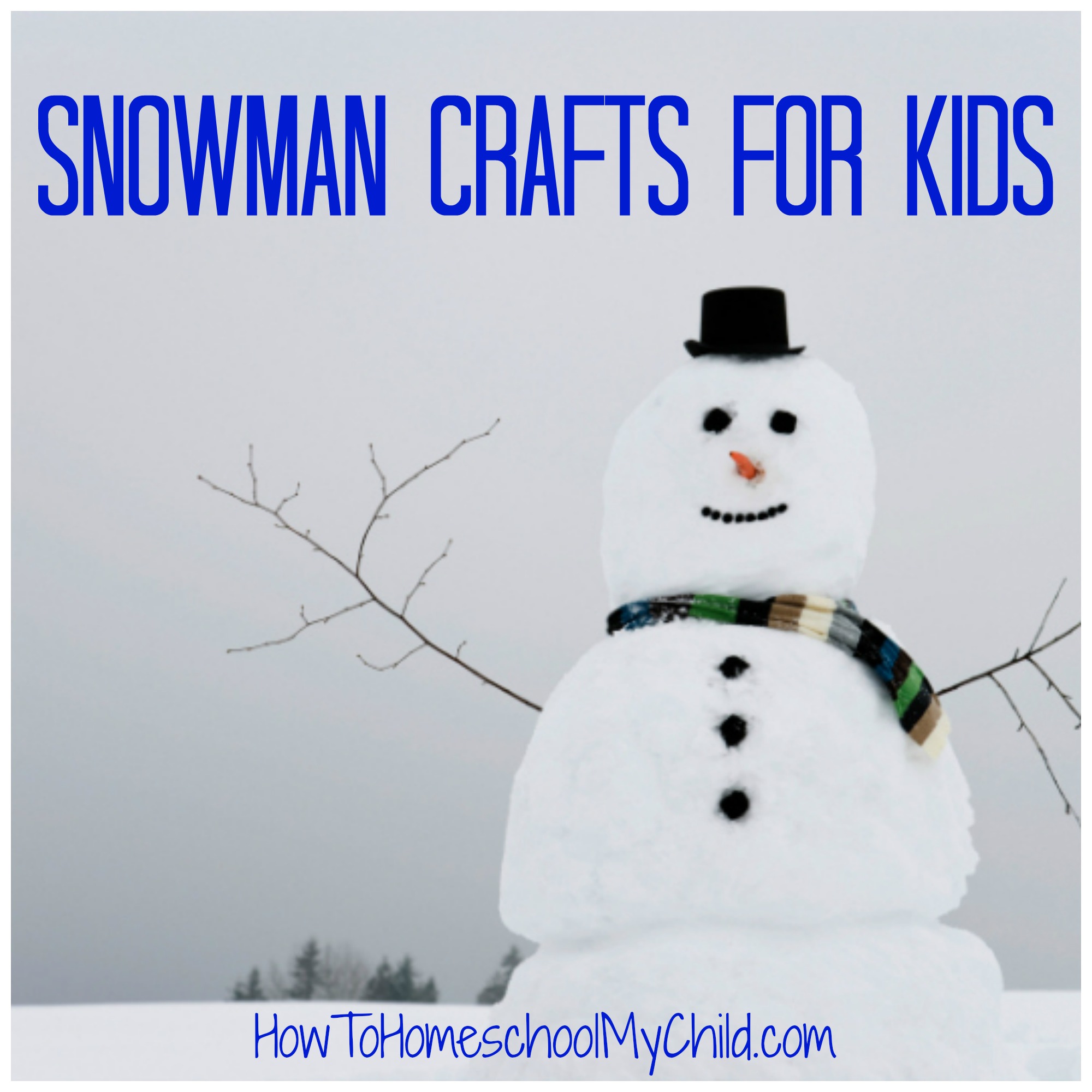 snowman crafts for kids ~ from HowToHomeschoolMyChild.com