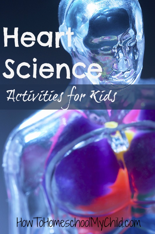 heart science activities for kids - fun science for Valentine's Day ~ from HowToHomeschoolMyChild.com