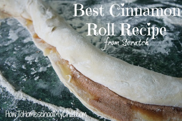 Roll up Angel Biscuit dough to make Best Cinnamon Roll Recipe from scratch ~ HowToHomeschoolMyChild.com