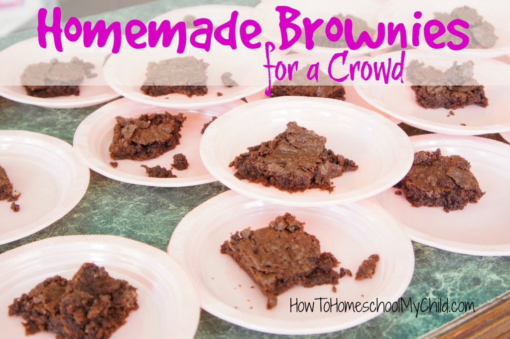 homemade brownies - easy recipe from HowToHomeschoolMyChild.com