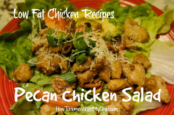Pecan Chicken Salad - low fat chicken recipes from HowToHomeschoolMyChild.com