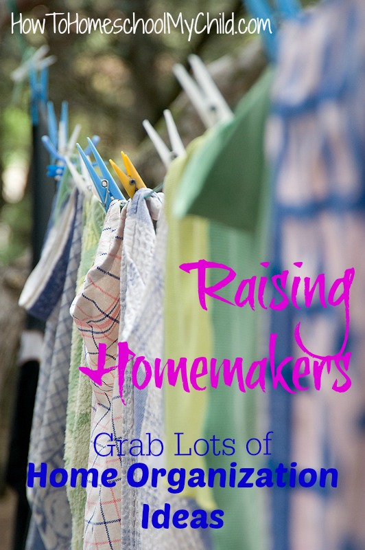 Looking for home organization ideas - Find lots at {Weekend Links} from HowToHomeschoolMyChild.com