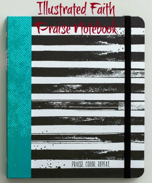 If you aren't ready to journal in your Bible, try this Praise Notebook from Illustrated Faith. Read more from HowToHomeschoolMyChild.com