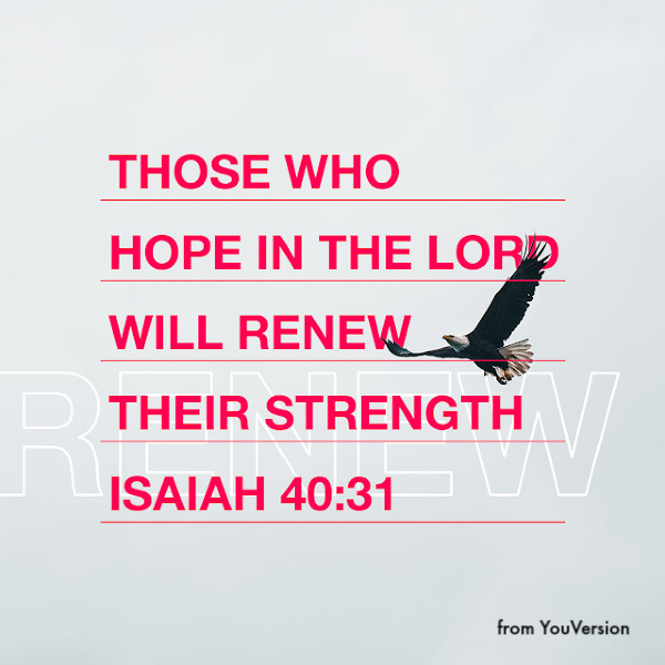 Hope in Jesus - Isaiah 40:31