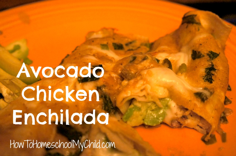 Avocado Chicken Enchilada Recipe for Cinco de Mayo - from how to homeschool my child.com