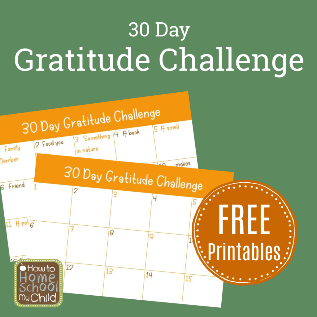 30 day gratitude challenge