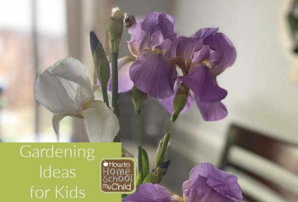 gardening ideas for kids