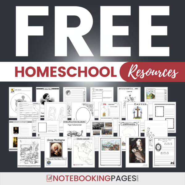 Free Notebooking Page Templates