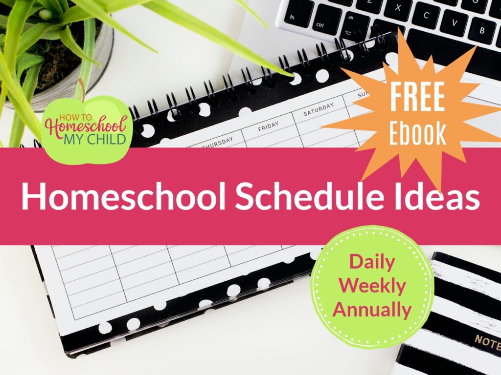 7 tips on how to get more organized in your homeschool